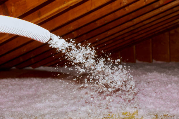 Best Eco-Friendly Insulation in Rose, LA