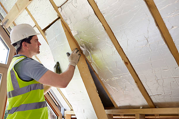 Best Energy Efficiency Insulation in Rose, LA